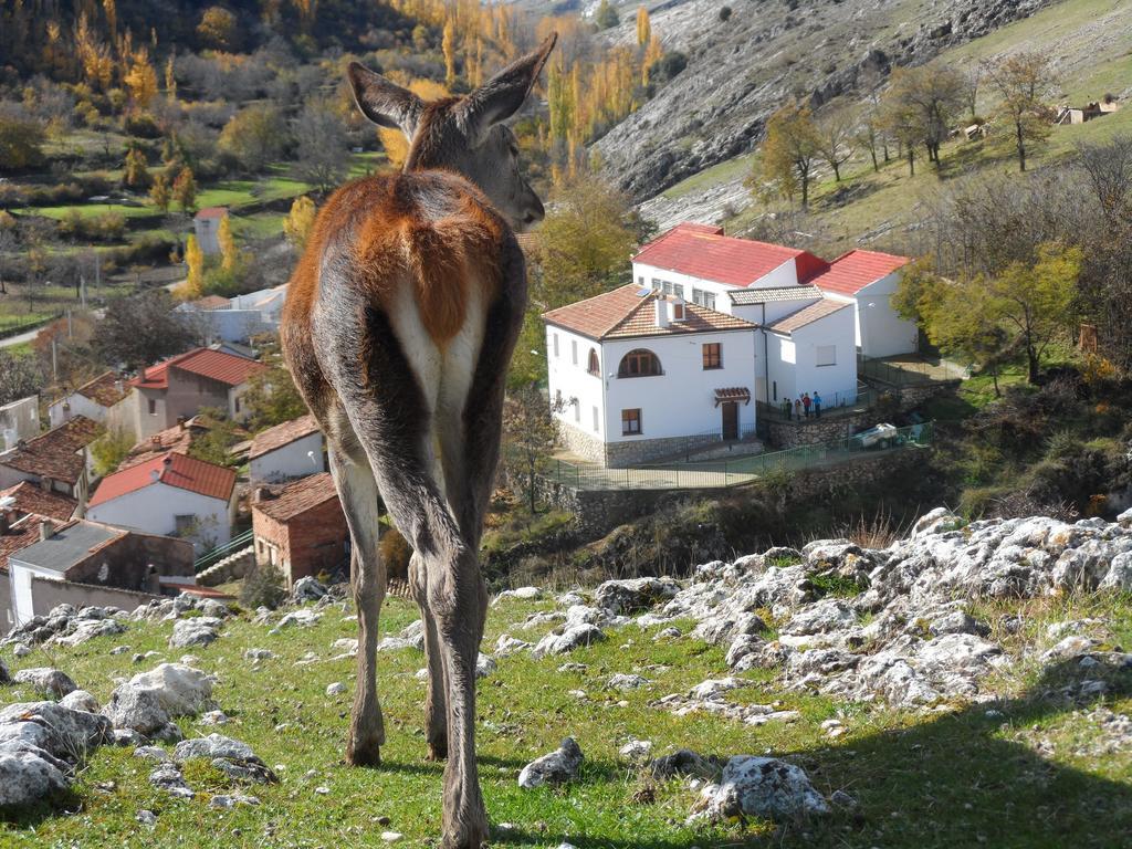 פונטונס Casa Rural El Perchel חדר תמונה